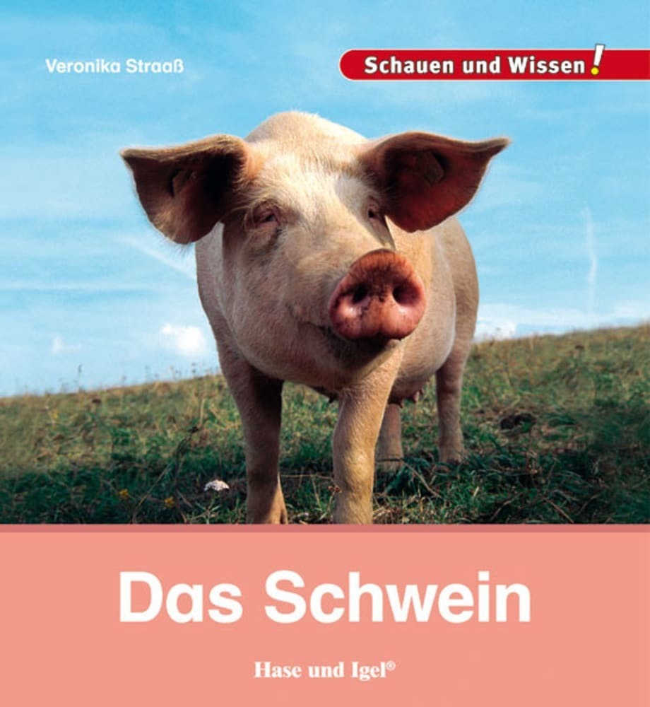 Das Schwein main product photo
