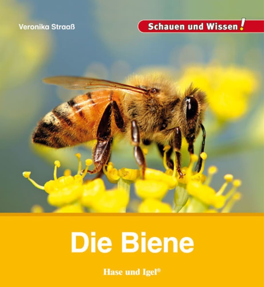 Die Biene main product photo