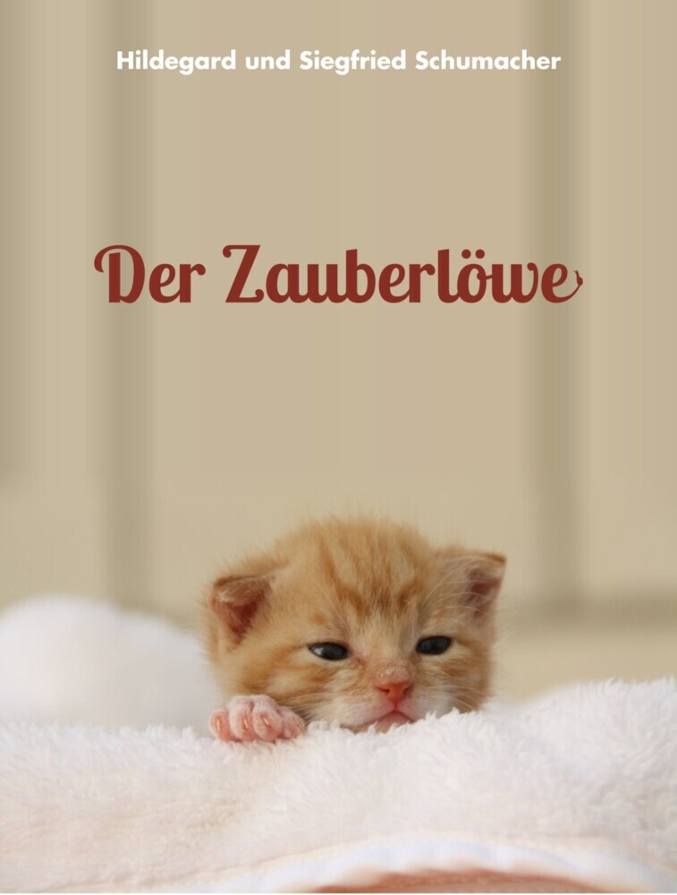 Der Zauberlöwe main product photo