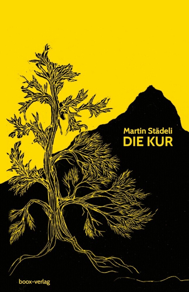 Die Kur main product photo