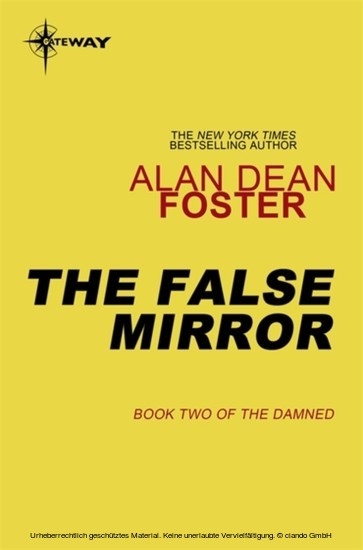False Mirror main product photo