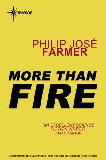 More Than Fire main product photo