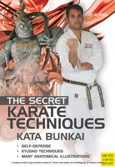 The Secret Karate Techniques - Kata Bunkai main product photo
