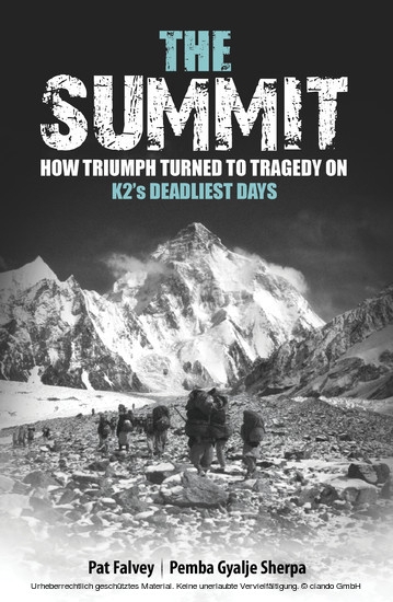 The Summit: How Triumph Turned To Tragedy On K2's Deadliest Days main product photo