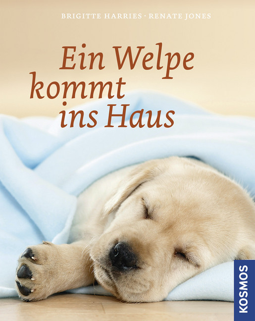 Ein Welpe kommt ins Haus main product photo