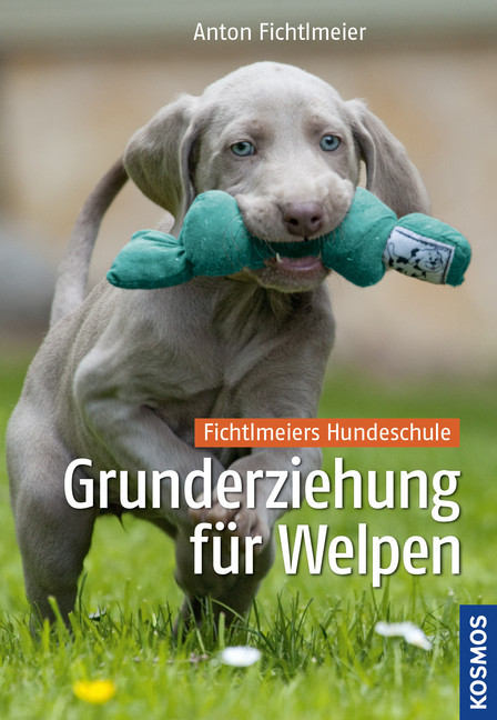 Grunderziehung für Welpen main product photo