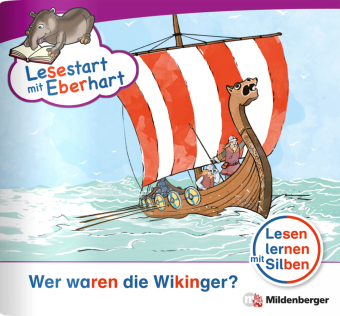 Wer waren die Wikinger?