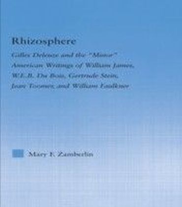 Rhizosphere main product photo
