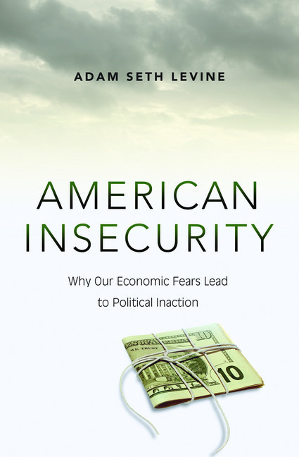 American Insecurity main product photo