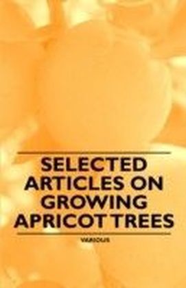 Selected Articles on Growing Apricot Trees main product photo