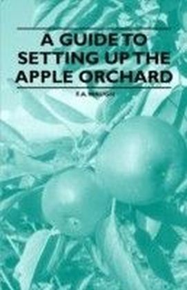 Guide to Setting Up the Apple Orchard