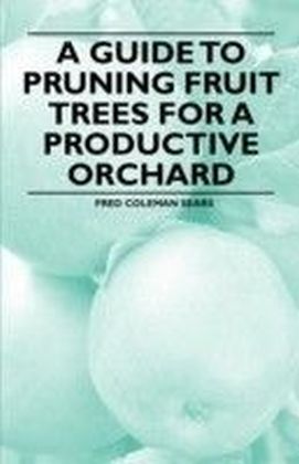 Guide to Pruning Fruit Trees for a Productive Orchard