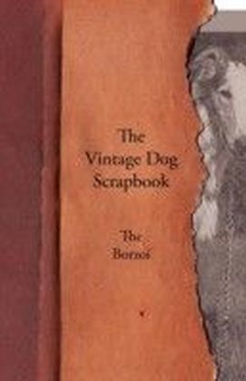 Vintage Dog Scrapbook - The Borzoi