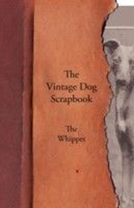 Vintage Dog Scrapbook - The Whippet