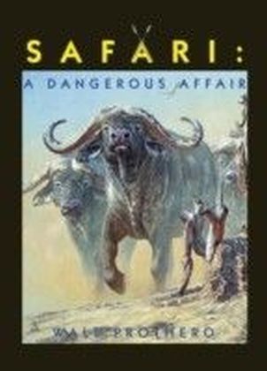 Safari main product photo