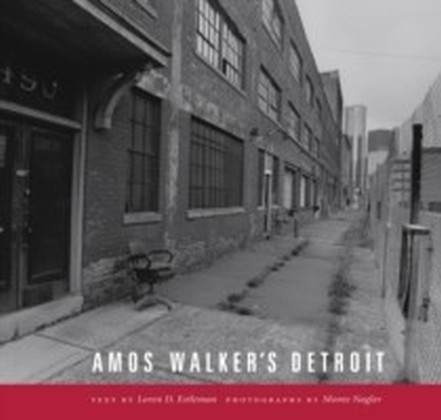 Amos Walker's Detroit main product photo