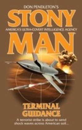 Terminal Guidance
