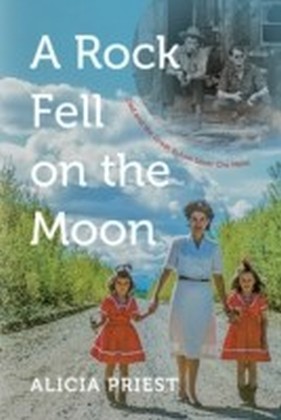 Rock Fell on the Moon