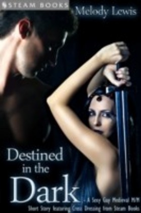 Destined in the Dark - Historical Cross-Dressing Medieval M/M Erotica from Steam Books main product photo