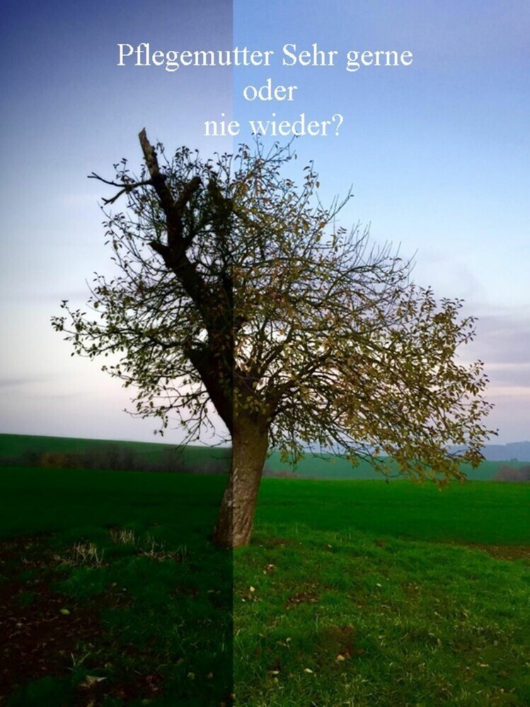 Pflegemutter - Sehr gerne oder nie wieder? main product photo