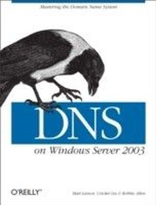 DNS on Windows Server 2003