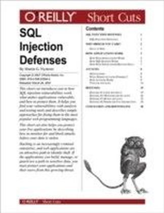SQL Injection Defenses main product photo
