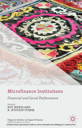 Microfinance Institutions