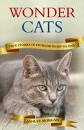 Wonder Cats