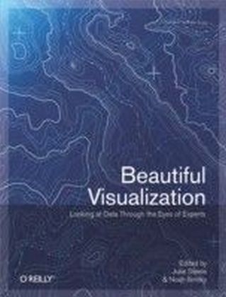 Beautiful Visualization main product photo