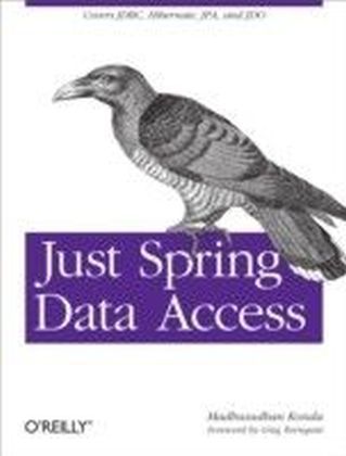 Just Spring Data Access