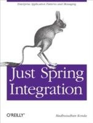 Just Spring Integration main product photo