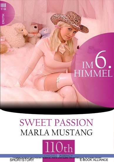Im 6. Himmel main product photo