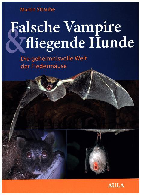 Falsche Vampire, fliegende Hunde main product photo
