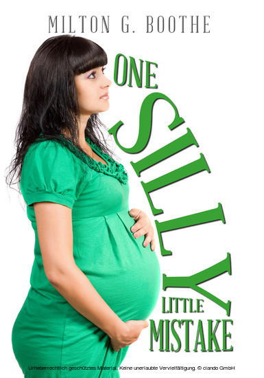 One Silly Little Mistake main product photo