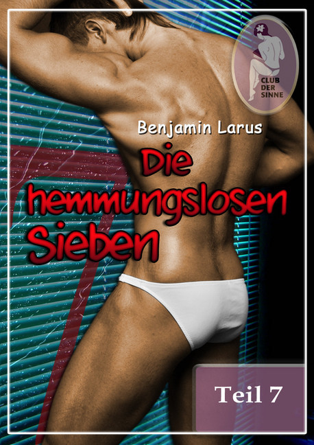 Die hemmungslosen Sieben (Teil 7) main product photo