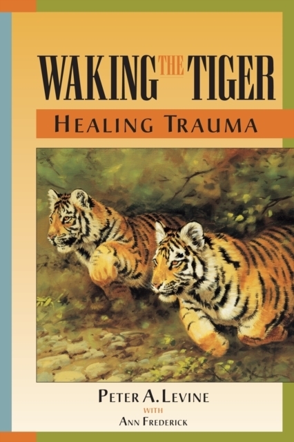 Waking The Tiger main product photo