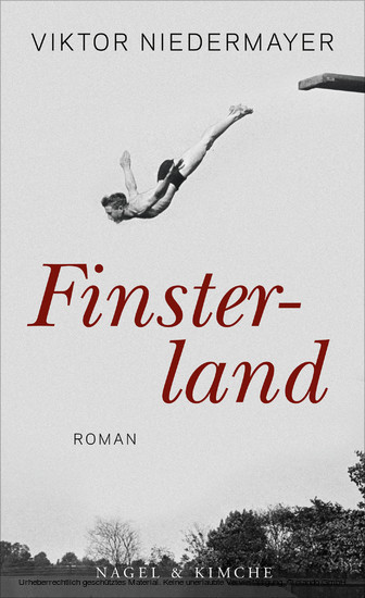 Finsterland main product photo
