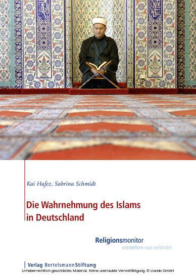 Die Wahrnehmung des Islams in Deutschland main product photo