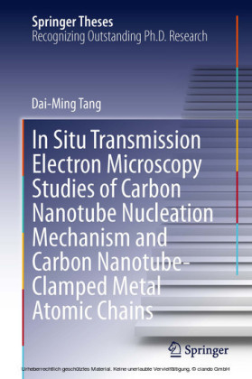 In Situ Transmission Electron Microscopy Studies of Carbon Nanotube Nucleation Mechanism and Carbon Nanotube-Clamped Metal Atomic Chains