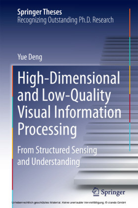 High-Dimensional and Low-Quality Visual Information Processing