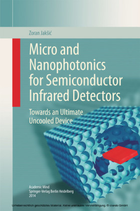 Micro and Nanophotonics for Semiconductor Infrared Detectors