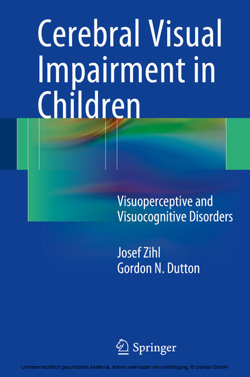 Cerebral Visual Impairment in Children main product photo