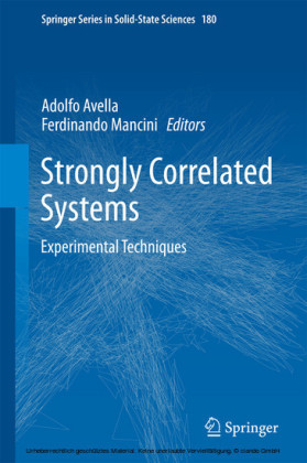 Strongly Correlated Systems