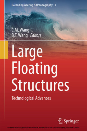 Large Floating Structures