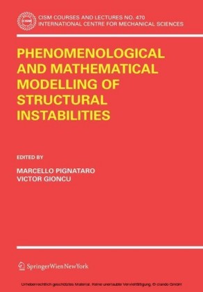Phenomenological and Mathematical Modelling of Structural Instabilities