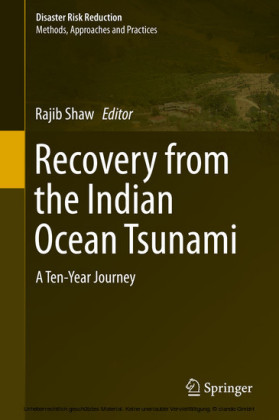 Recovery from the Indian Ocean Tsunami