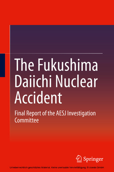 The Fukushima Daiichi Nuclear Accident main product photo