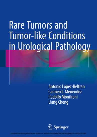 Rare Tumors and Tumor-like Conditions in Urological Pathology main product photo