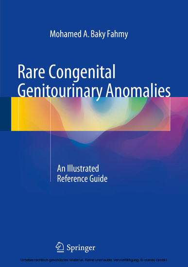 Rare Congenital Genitourinary Anomalies main product photo