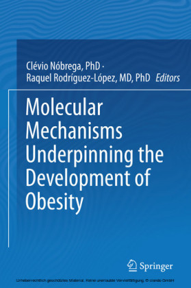 Molecular Mechanisms Underpinning the Development of Obesity
